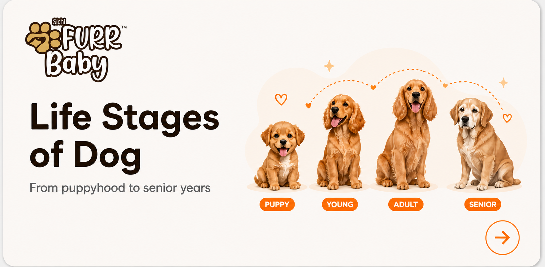Furr Baby Dog Life Stages