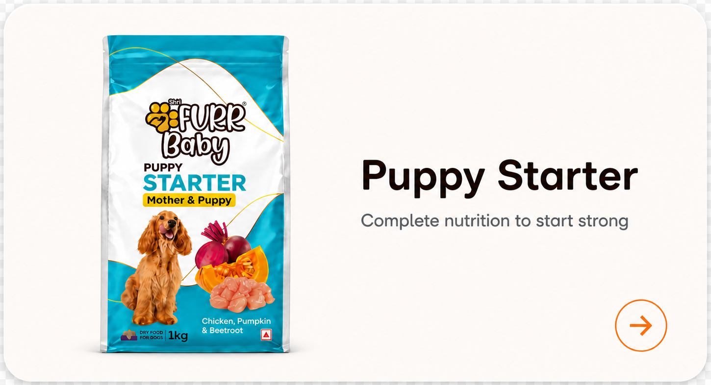 Puppy Starter